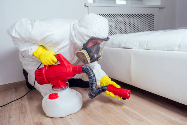 Best Pest Control for Multi-Family Homes  in Big Lake, TX